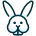 Rabbit 2