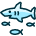 Shark Fish