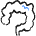 Medical Specialty Intestine