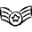 Army Badge 2