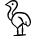 Wild Bird Ostrich