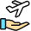 Travel Insurance Plane