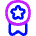 Medal Badge Star Icon from Flex Neon Set