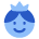 User King Crown