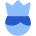 User King Crown