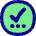 Check Preliminary Steps Circle Icon from Flex Pop Set