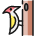 Wild Bird Woodpecker