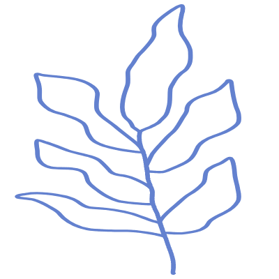 Shape Leaves Nature Dry Element from Organic Shapes Set