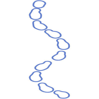 Shape Line Dash 2 Element from Organic Shapes Set