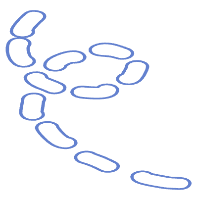 Shape Line Dash 3 Element from Organic Shapes Set