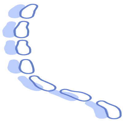 Shape Line Dash 1 Element from Organic Shapes Set