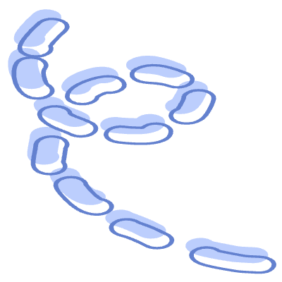 Shape Line Dash 3 Element from Organic Shapes Set