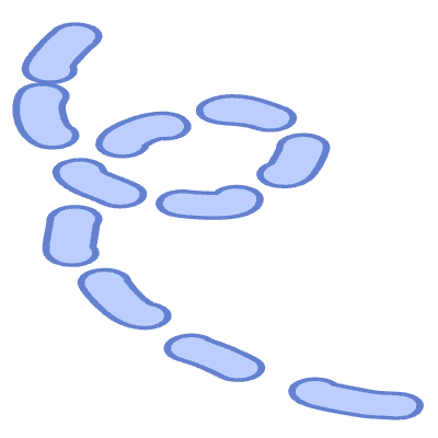 Shape Line Dash 3 Element from Organic Shapes Set