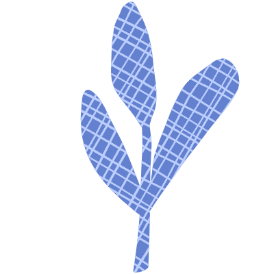 Shape Leaves Nature 1 Element from Organic Shapes Set