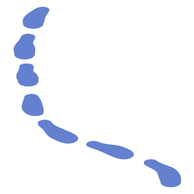 Shape Line Dash 1 Element from Organic Shapes Set