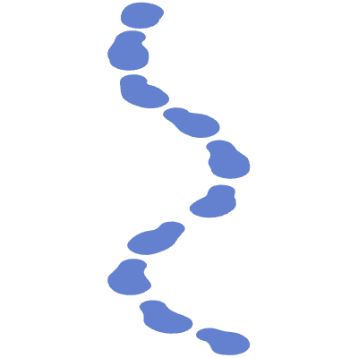 Shape Line Dash 2 Element from Organic Shapes Set