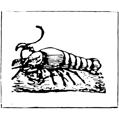 Cancer Rectangle Zodiac Element from Vintage Illustrations Set