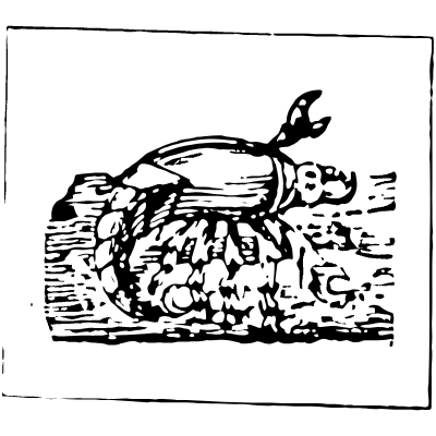 Scorpio Rectangle Zodiac Element from Vintage Illustrations Set