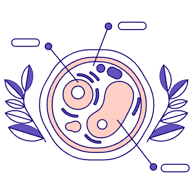 Biologist 2 Illustration from Bangalore - Pro Set