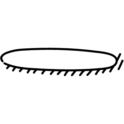 Line Highlight Ellipse Hatch Underline 2 Element from Variable Scribbles Set