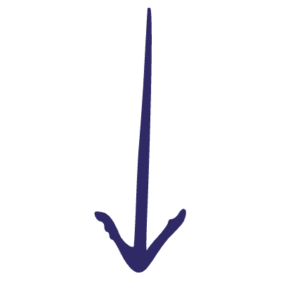 Minimalist Arrow Element from Inked Shapes Set