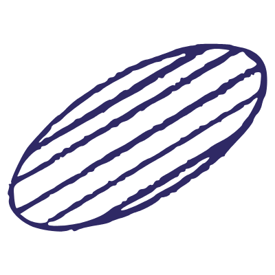 Minimalist Elipse Hatches Element from Inked Shapes Set