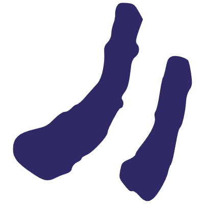 Lines Quote 1 Element from Inked Shapes Set