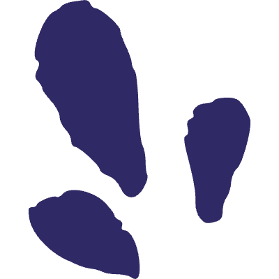 Nature Flowers 6 Element from Inked Shapes Set