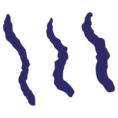 Repeating Steam Element from Inked Shapes Set