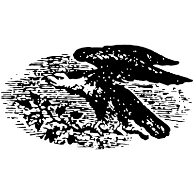 Bird 13 Element from Vintage Illustrations Set