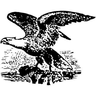 Bird 14 Element from Vintage Illustrations Set