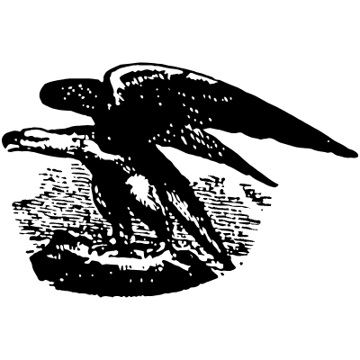 Bird 16 Element from Vintage Illustrations Set