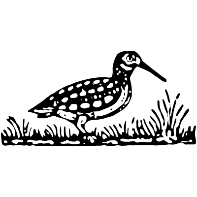 Bird 3 Element from Vintage Illustrations Set