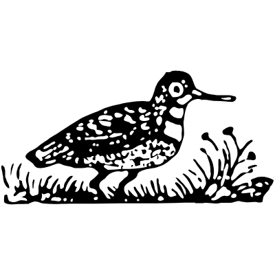 Bird 6 Element from Vintage Illustrations Set