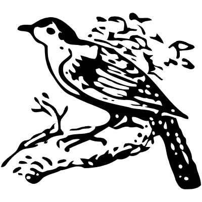 Bird 9 Element from Vintage Illustrations Set