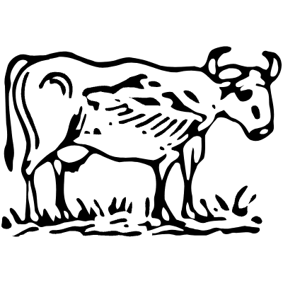 Cow 4 Element from Vintage Illustrations Set