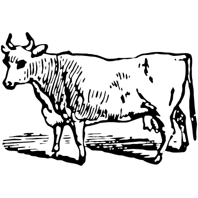 Cow 7 Element from Vintage Illustrations Set