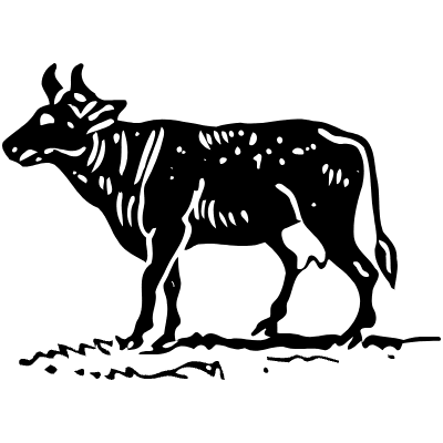 Cow 8 Element from Vintage Illustrations Set