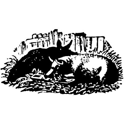 Cow 9 Element from Vintage Illustrations Set