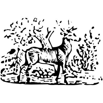 Deer 2 Element from Vintage Illustrations Set