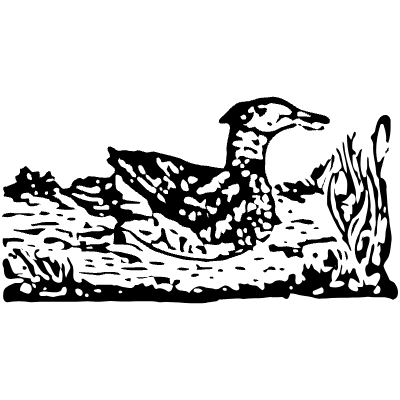 Duck 1 Element from Vintage Illustrations Set