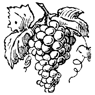 Grapes 4 Element from Vintage Illustrations Set