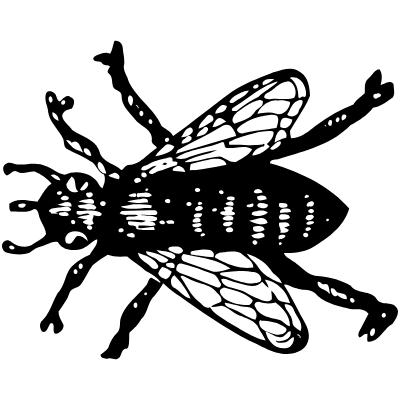 Insect 2 Element from Vintage Illustrations Set