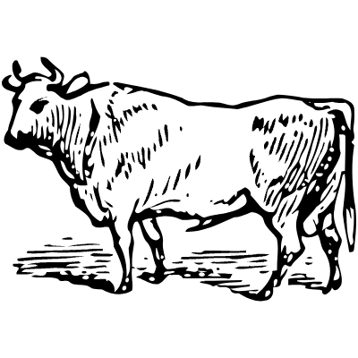 Ox 2 Element from Vintage Illustrations Set