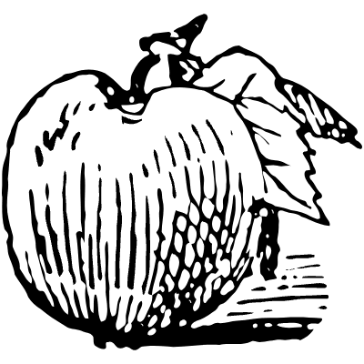 Peach Element from Vintage Illustrations Set