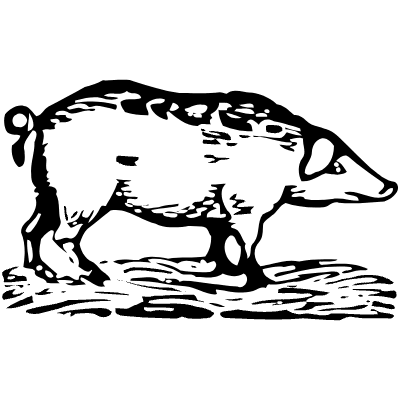 Pig 3 Element from Vintage Illustrations Set