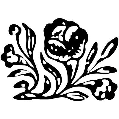 Rose 3 Element from Vintage Illustrations Set