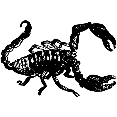 Scorpion Element from Vintage Illustrations Set