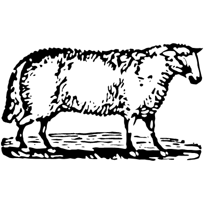 Sheep 2 Element from Vintage Illustrations Set