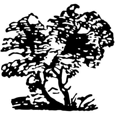 Tree 5 Element from Vintage Illustrations Set